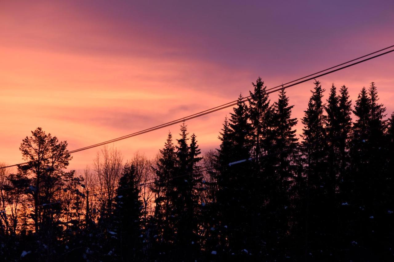 Fresh Familie Hytte Hemsedal Luaran gambar