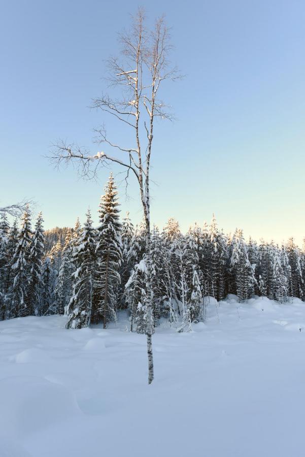 Fresh Familie Hytte Hemsedal Luaran gambar